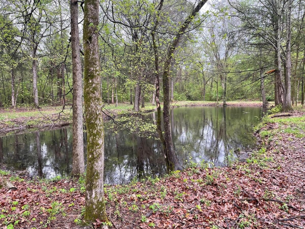 Charming Tiny Home! Close To Oxford, Sardis Lake, Safari Animal Zoo Екстер'єр фото